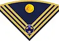 Rank insignia for a captain on hat (Hatt m/1910-14) in the army