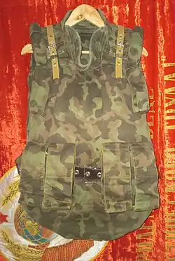 6B5 in "Butan" camo