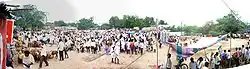 Cattle fair in Kattangur village