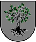 Coat of arms of Birkfeld