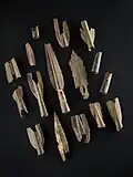 Spearheads and spearhead fragments from the Late Bronze Age Hoard from Duddingston Loch, Edinburgh