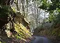 A sunken way, Witley, Surrey