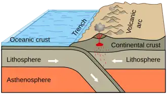 Subduction of an oceanic plate beneath a continental plate to form an accretionary orogen. (example: the Andes)