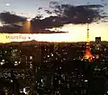 View from the 49th Floor of Acty Shiodome