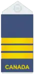Uniform shirts (old insignia)