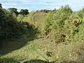 Alderford Common