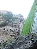 The dam covered in algae.
