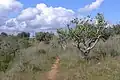 Habitat.Portugal