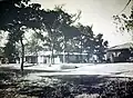 Wynnewood residential area in a promotional brochure of the American Home Realty Company (ca. 1953)