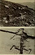 cramp sockets in the foundation platforms of Pumapunku