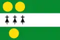 Flag of Anthisnes