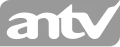 Logo used during commercial breaks from 2009 to 2013 and again since 2018 (it was also used during shows in 2012–2013).
