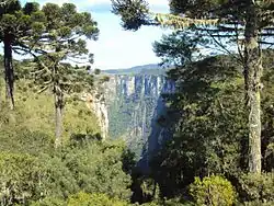 Itaimbezinho canyon