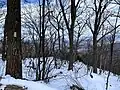 Appalachian Trail Blaze en route to Hawksbill Summit
