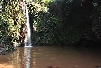 Falls