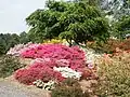 Milde Arboretum and Botanical Garden