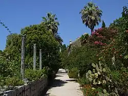 Arboretum Trsteno
