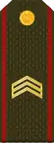 ՍԵՐԺԱՆՏ Serzhant (Armenian Ground Forces)[40]