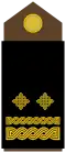 Pukovnik[7] (Croatian Army)