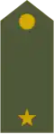 Poručík (Slovak Ground Forces)[10]
