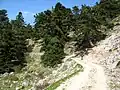 Ascending path