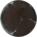 Aspergillus aculeatinus growing on CYA plate