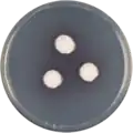 Aspergillus ferenczii growing on CYA plate