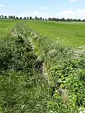 The Aue in Ahrensmoor