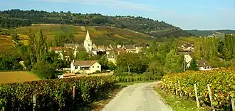A general view of Auxey-Duresses