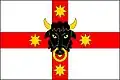 Flag of Býšť