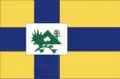 Flag of Caririaçu