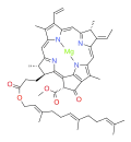 bacteriochlorophyll g