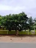 Gururajbhavana Choultry