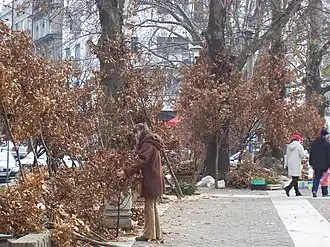 Badnjaks on sale at a market in Belgrade