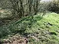 Outer bank on the NE side.