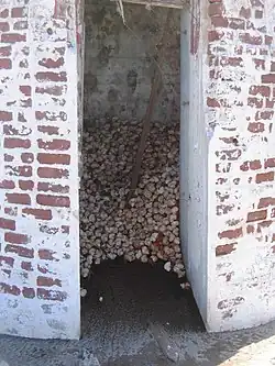 Hermit crabs taking shade in day beacon