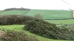Ballydargan Hill