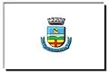 Flag of Encruzilhada do Sul