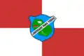 Flag of Rondon