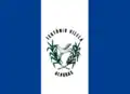 Flag of Teotônio Vilela