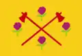 Flag of Guarantã
