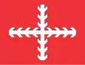 Flag of Ibirapuã