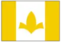 Flag of Itaueira