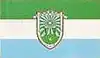 Flag of Major Sales