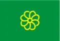 Flag of Nova Glória