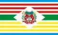 Flag of Professor Jamil