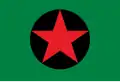 Flag of Ipixuna