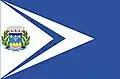 Flag of Monte Sião