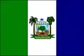 Flag of Parazinho