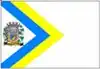 Flag of Nova Castilho